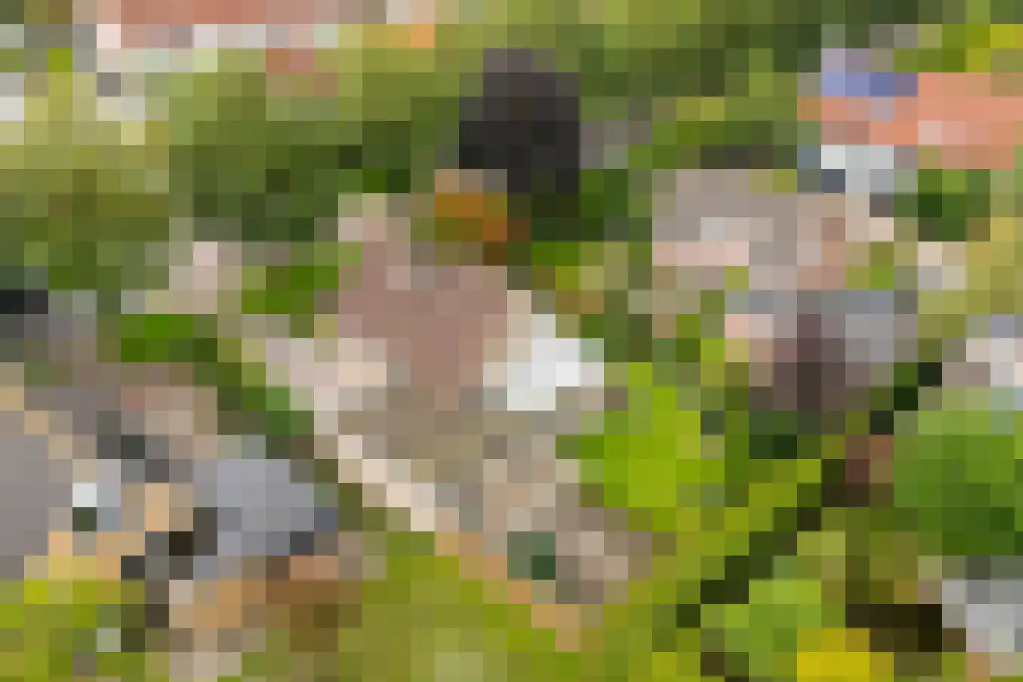 Almereweg 12 Zeewolde thumbnail 63