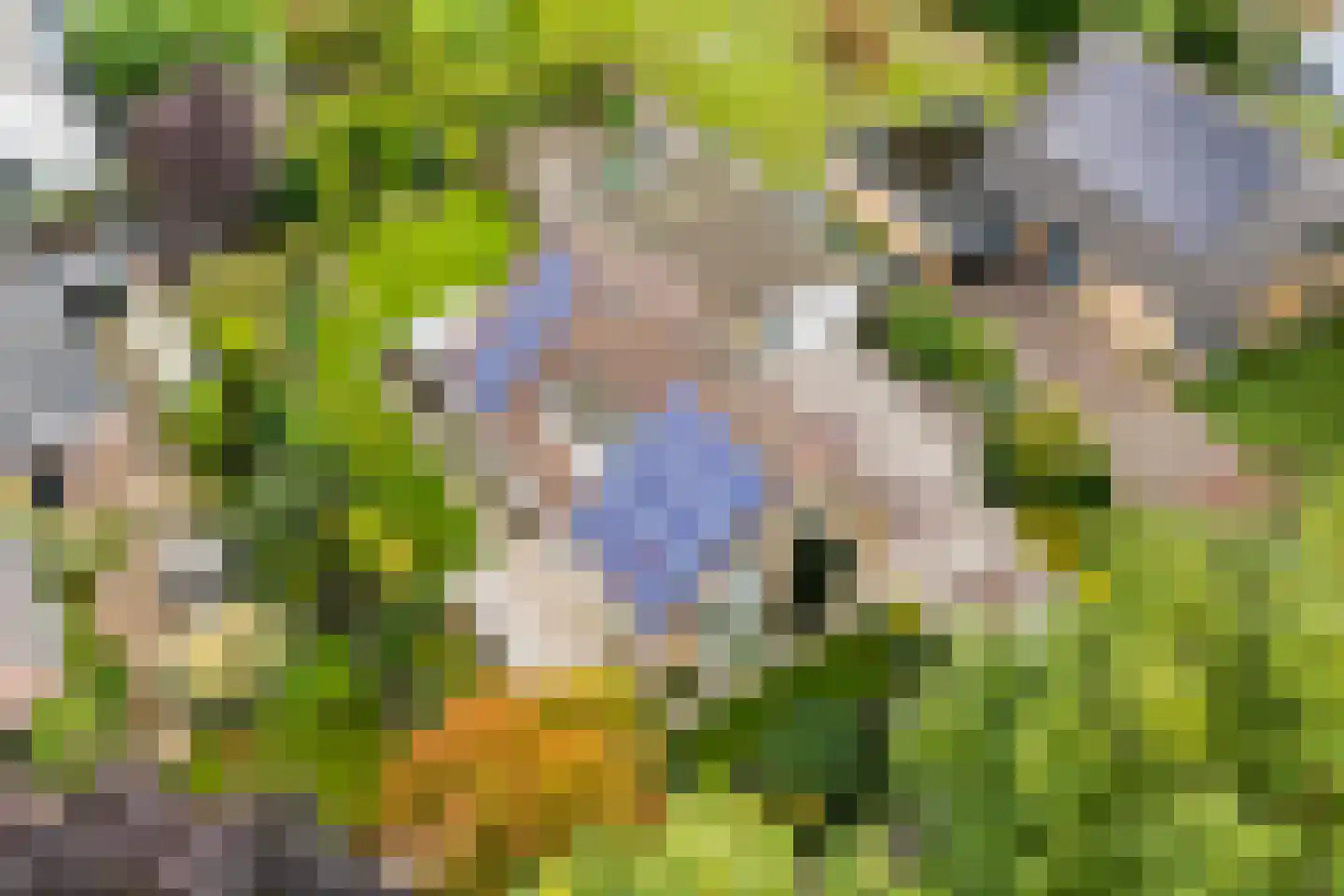 Almereweg 12 Zeewolde thumbnail 64