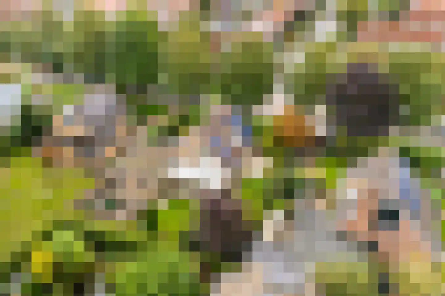 Almereweg 12 Zeewolde thumbnail 65