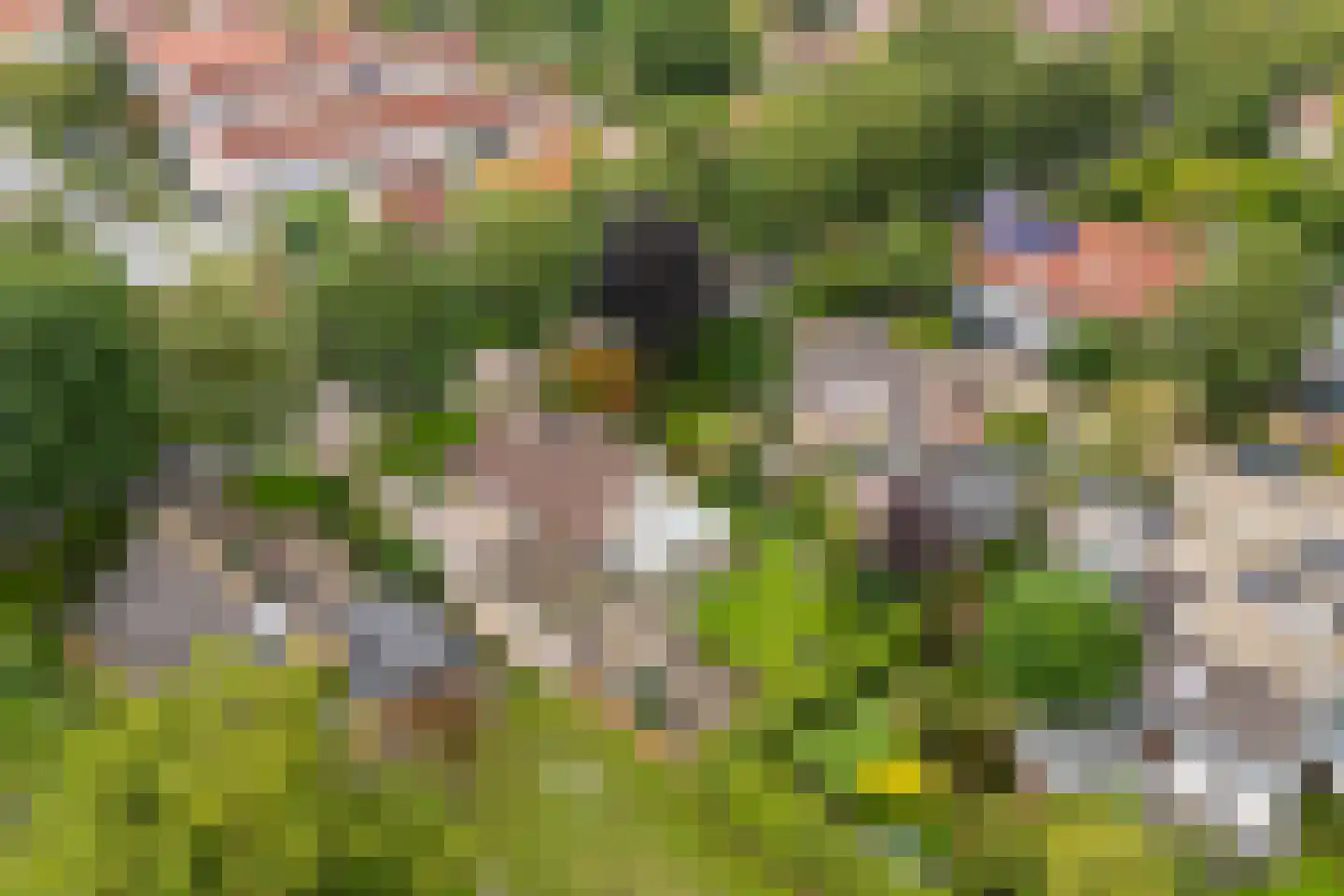 Almereweg 12 Zeewolde thumbnail 67