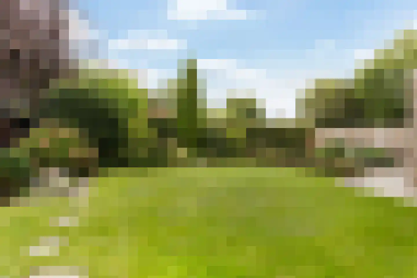 Almereweg 12 Zeewolde thumbnail 9