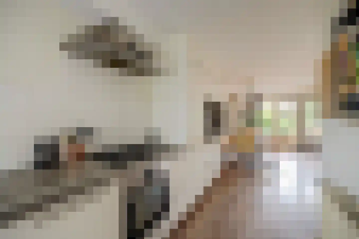 Almereweg 67 Zeewolde thumbnail 13