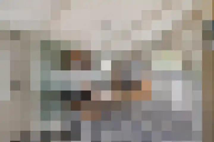 Almersdorperweg 2 Opperdoes thumbnail 13