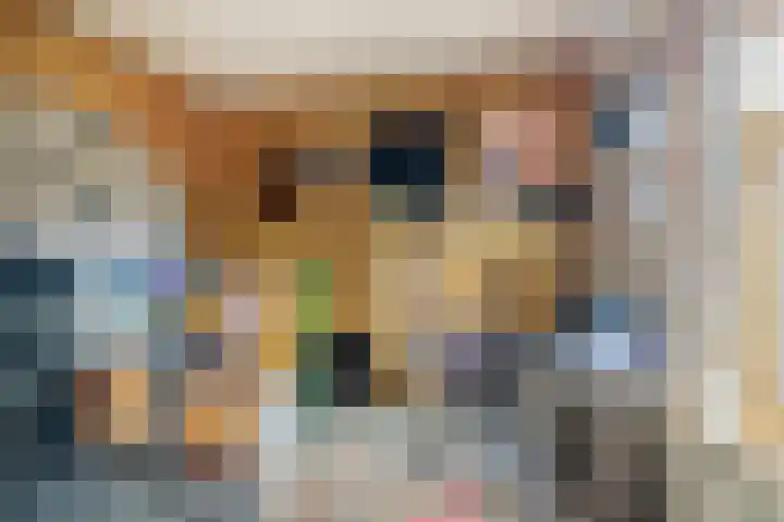 Almersdorperweg 2 Opperdoes thumbnail 16