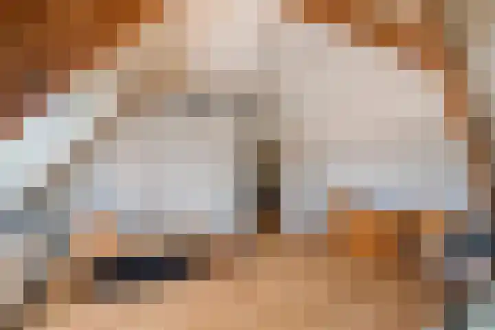 Almersdorperweg 2 Opperdoes thumbnail 23