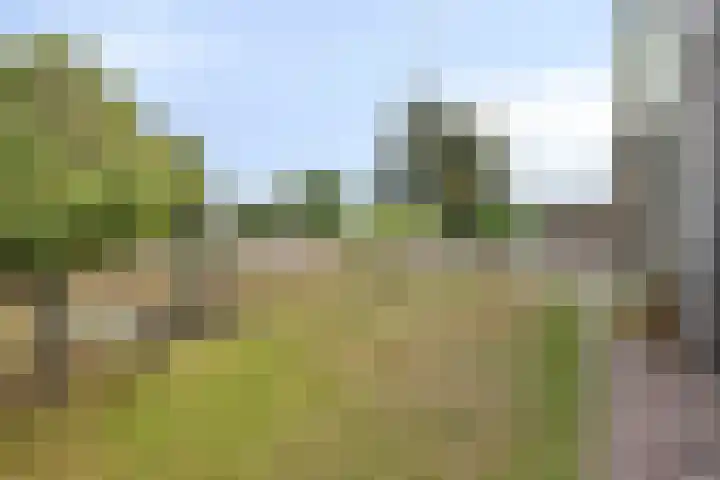 Almersdorperweg 2 Opperdoes thumbnail 26