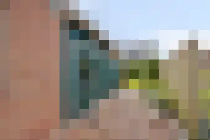 Almersdorperweg 2 Opperdoes thumbnail 27