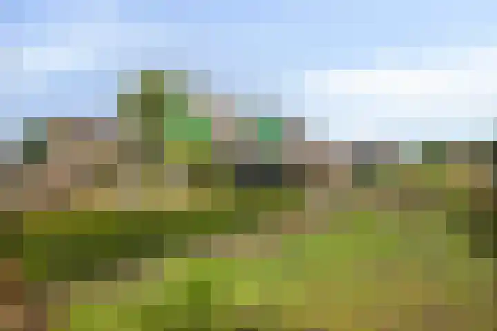 Almersdorperweg 2 Opperdoes thumbnail 7