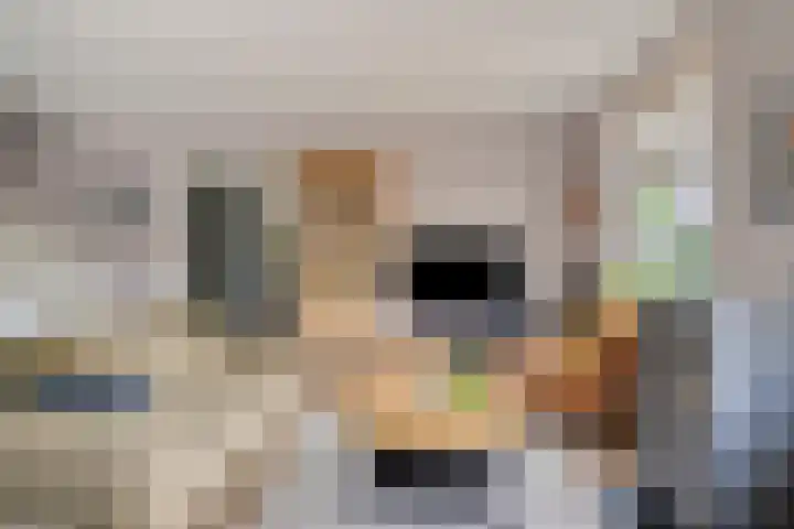 Almersdorperweg 2 Opperdoes thumbnail 9