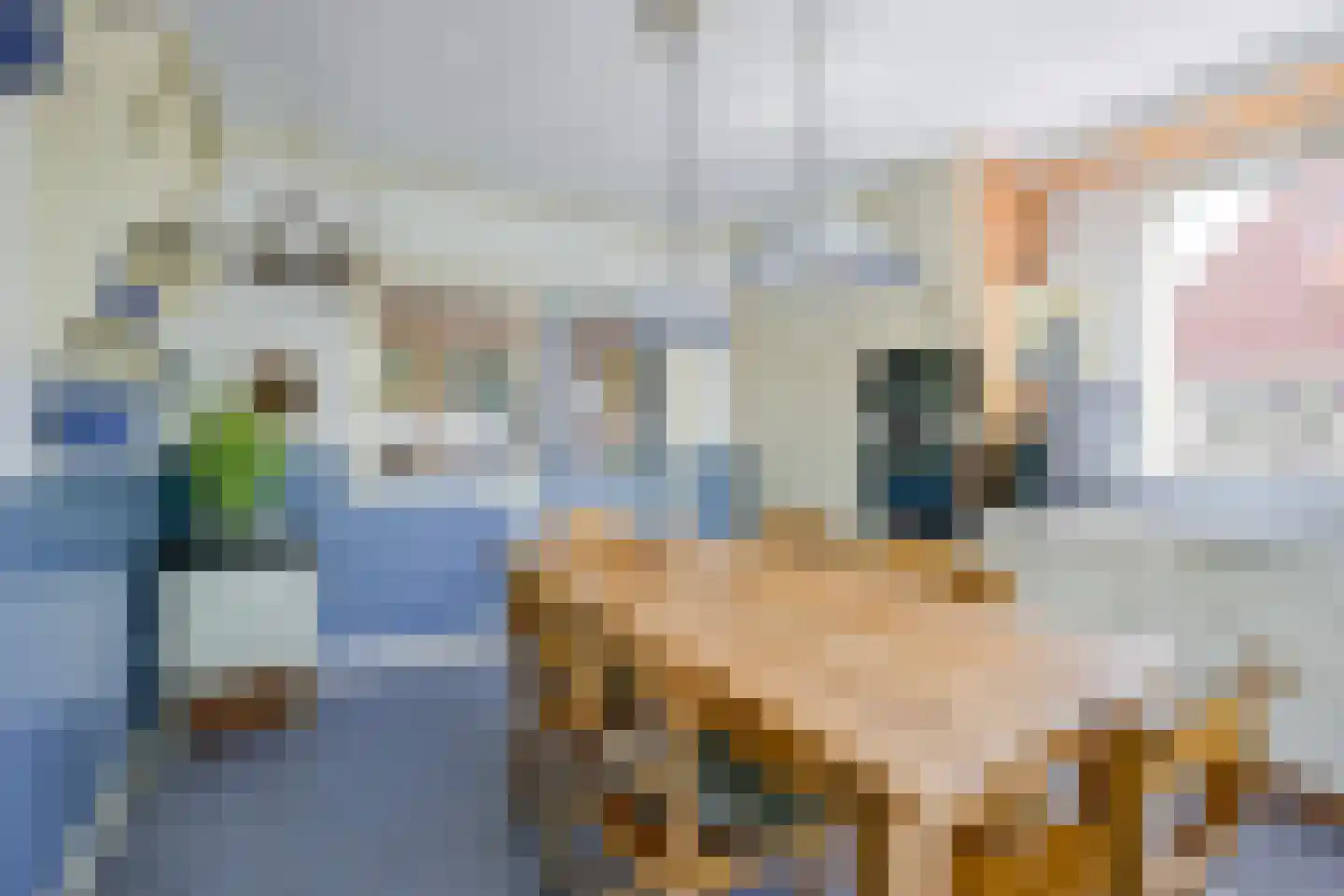 Almersdorperweg 20 Opperdoes thumbnail 20