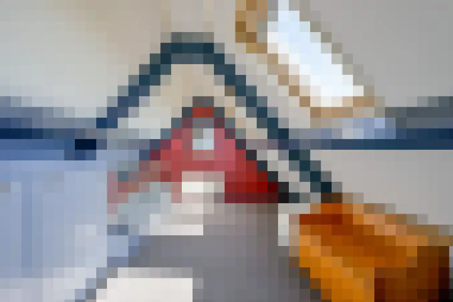 Almersdorperweg 20 Opperdoes thumbnail 33