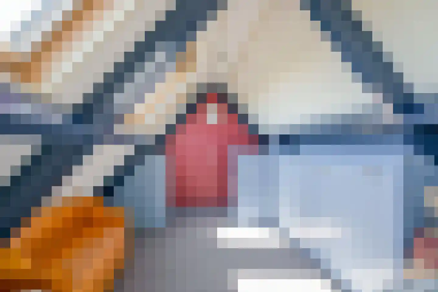 Almersdorperweg 20 Opperdoes thumbnail 34