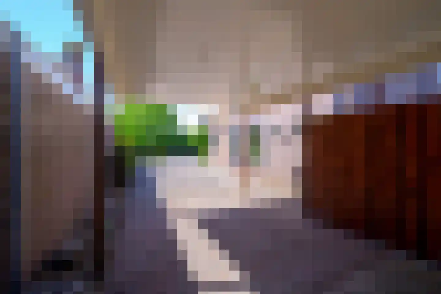 Almersdorperweg 20 Opperdoes thumbnail 49