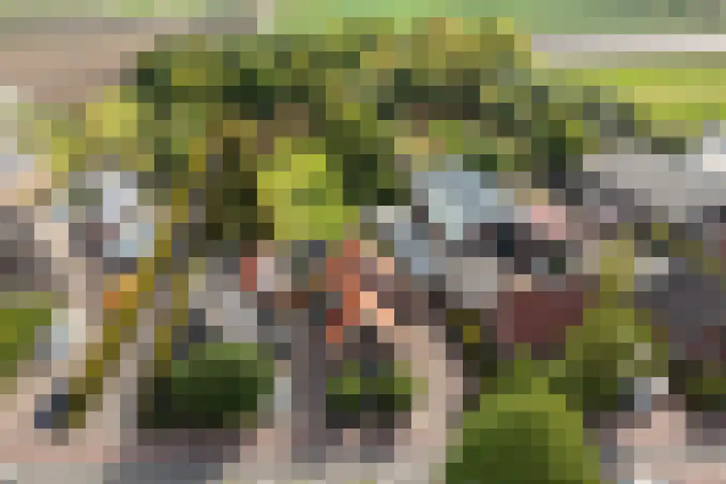 Almersdorperweg 20 Opperdoes thumbnail 53