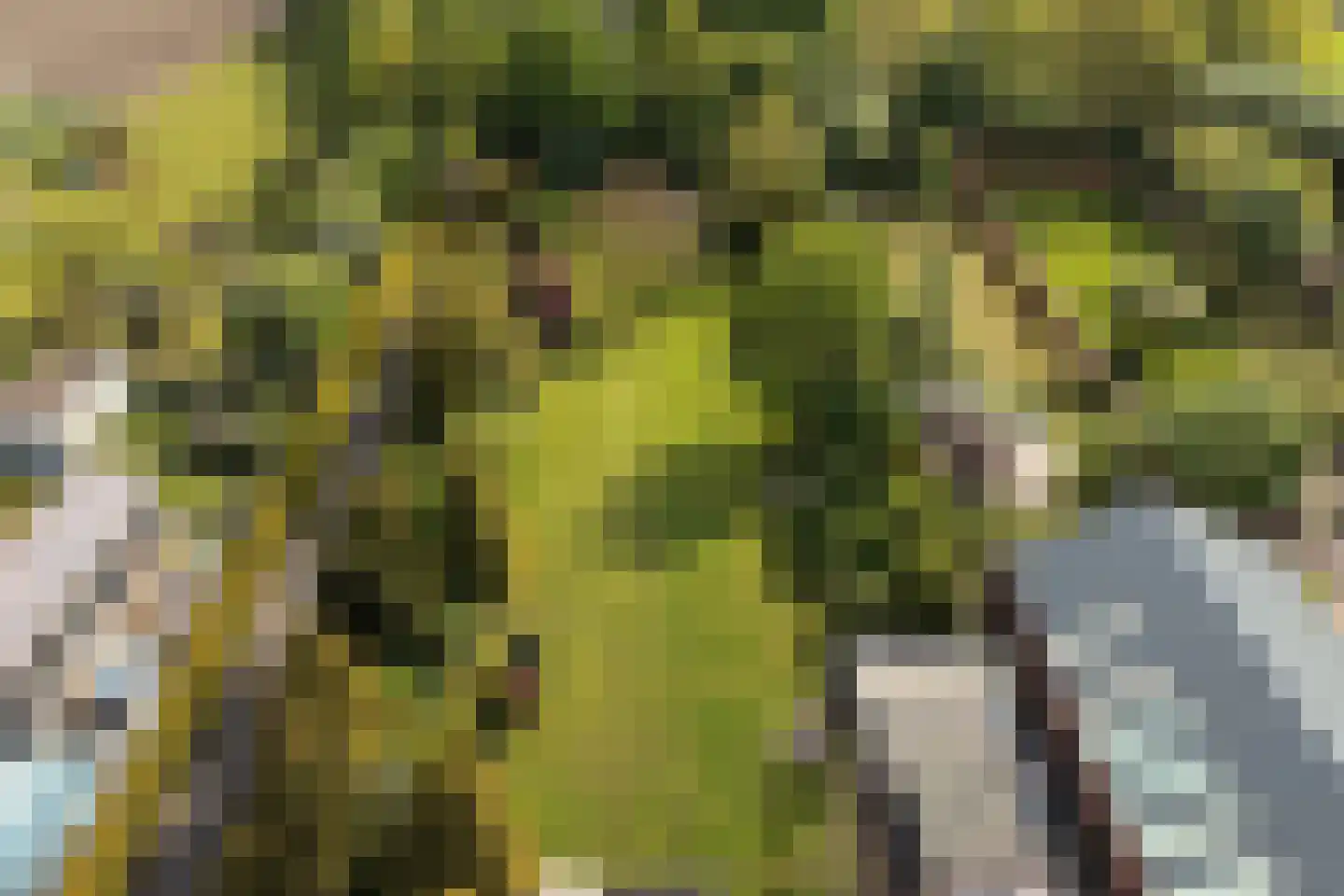 Almersdorperweg 20 Opperdoes thumbnail 56