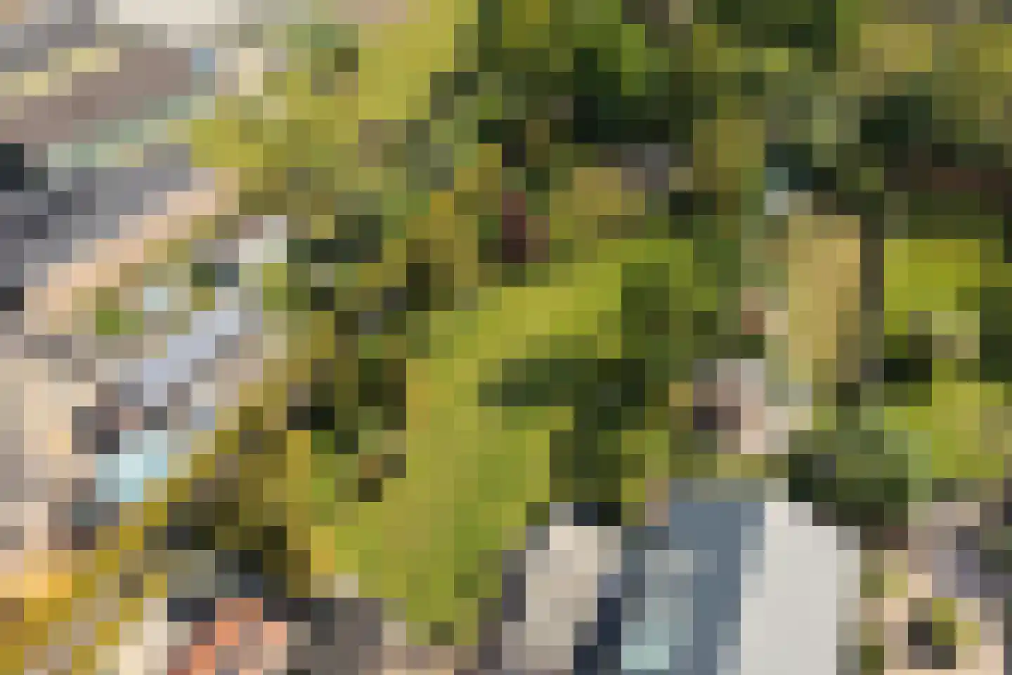 Almersdorperweg 20 Opperdoes thumbnail 57