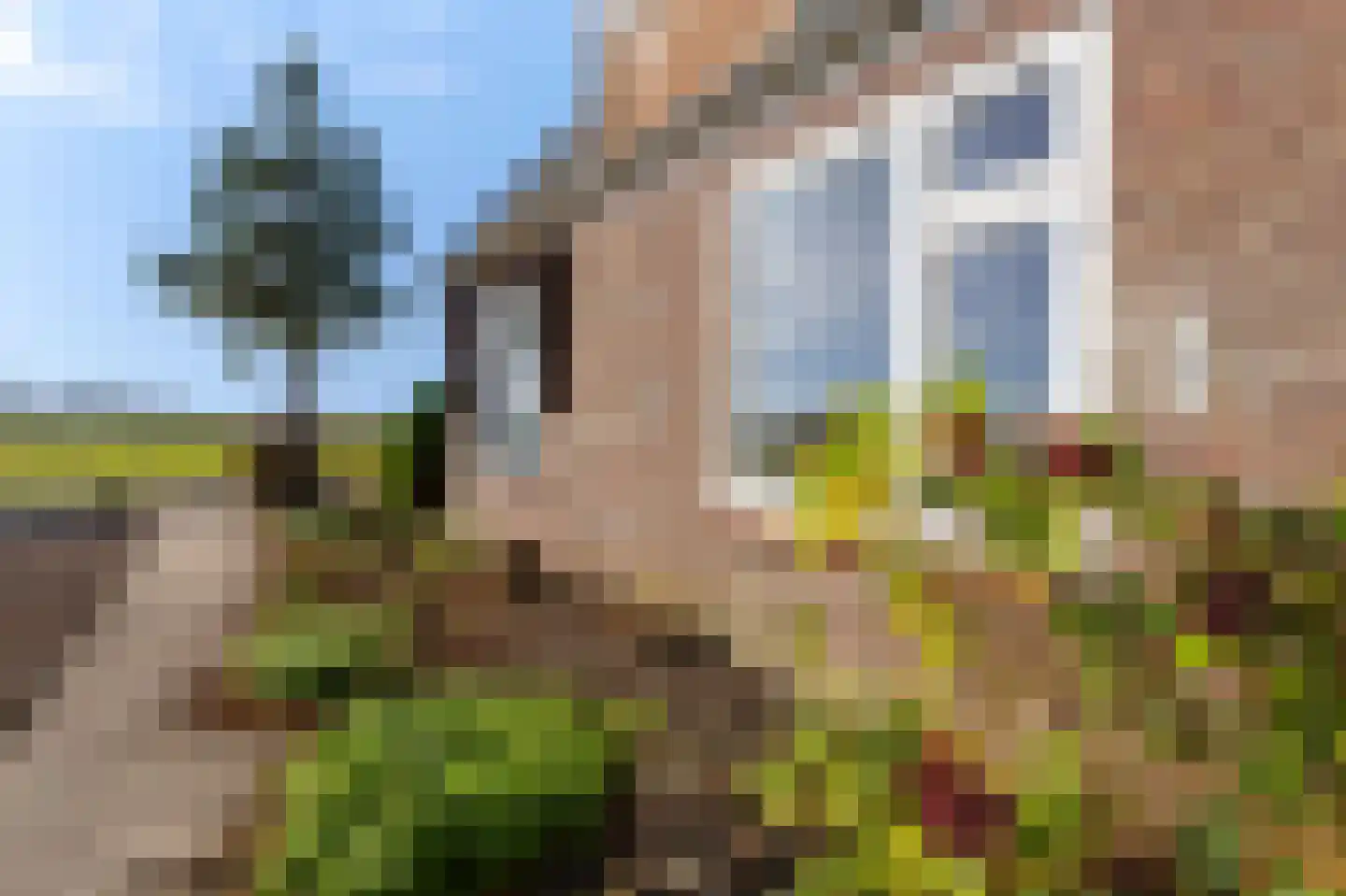 Almersdorperweg 49 Opperdoes thumbnail 9