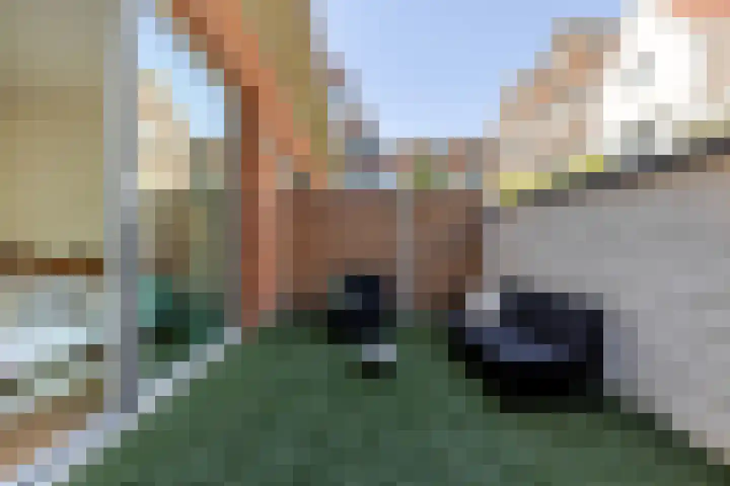 Almondestraat 241 Rotterdam thumbnail 12