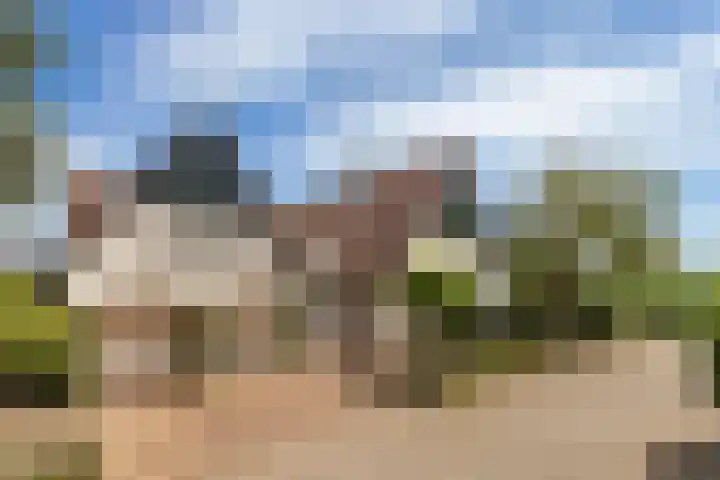 Almstein 16 dans Dordrecht