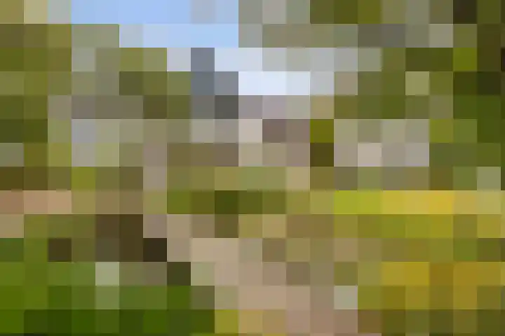 Almstein 16 Dordrecht thumbnail 4