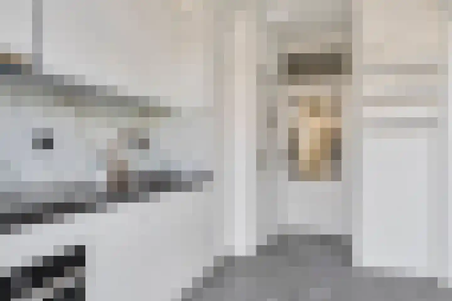 Almstraat 2 's-Hertogenbosch thumbnail 12