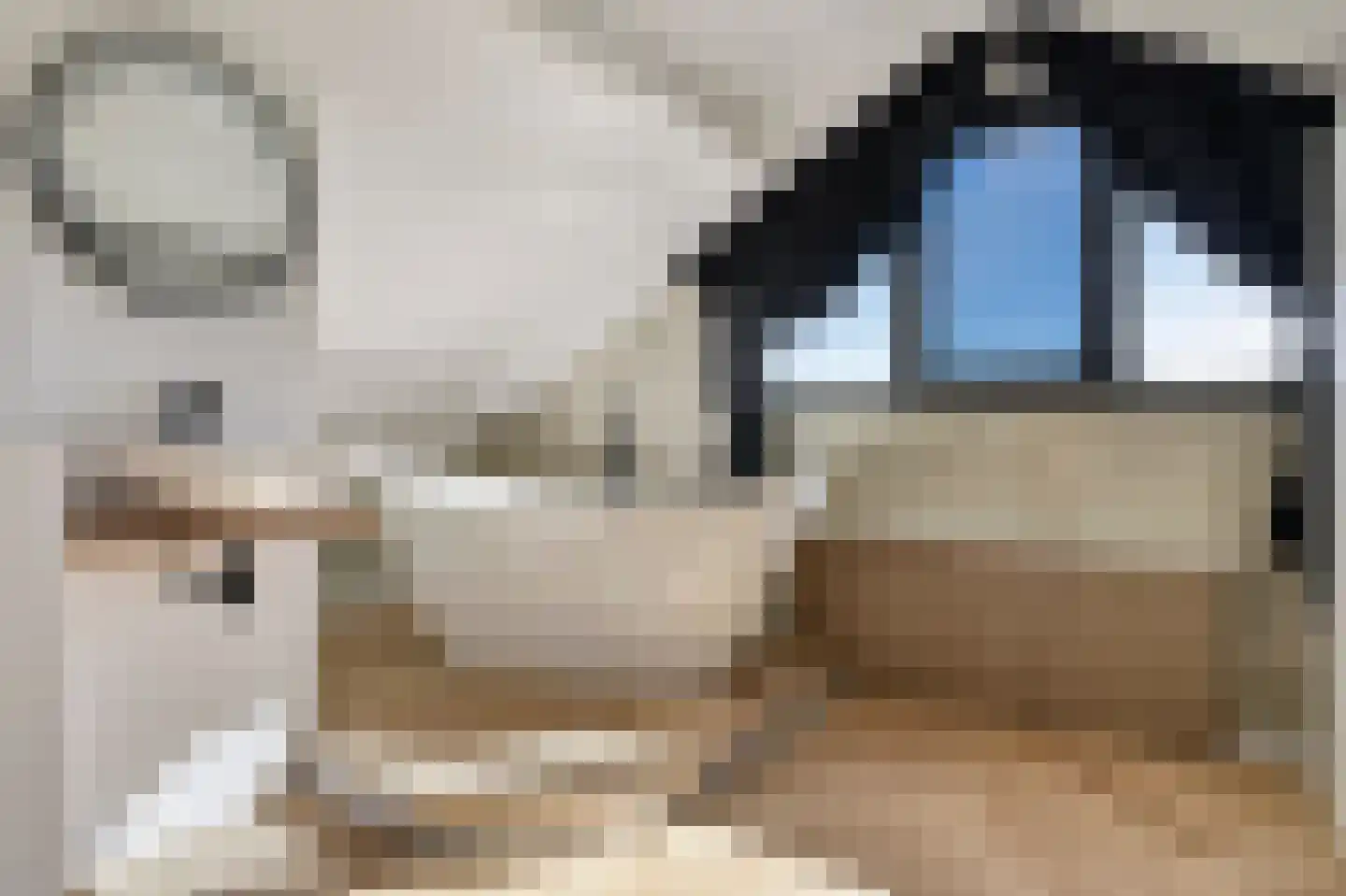 Almstraat 2 's-Hertogenbosch thumbnail 14