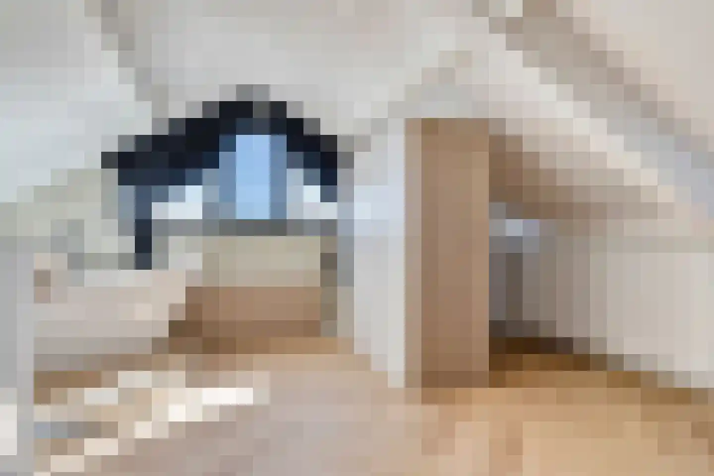Almstraat 2 's-Hertogenbosch thumbnail 15