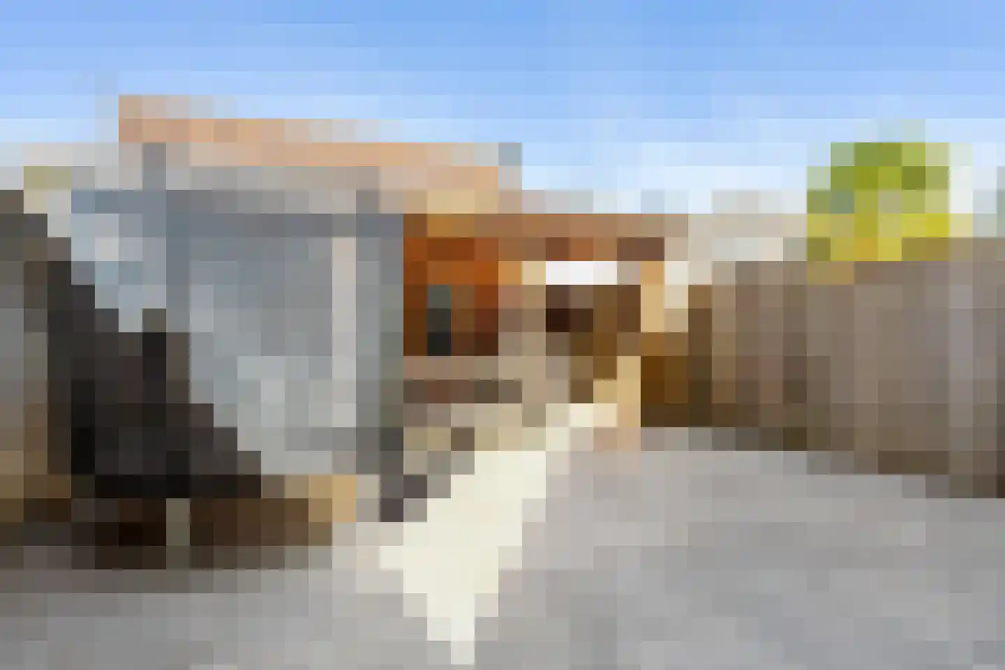 Almstraat 2 's-Hertogenbosch thumbnail 32