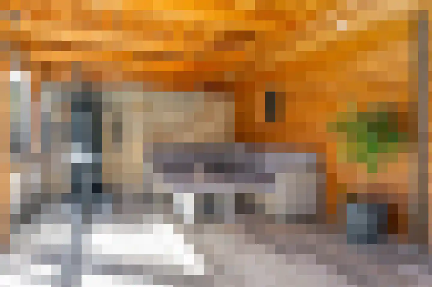 Almstraat 2 's-Hertogenbosch thumbnail 33