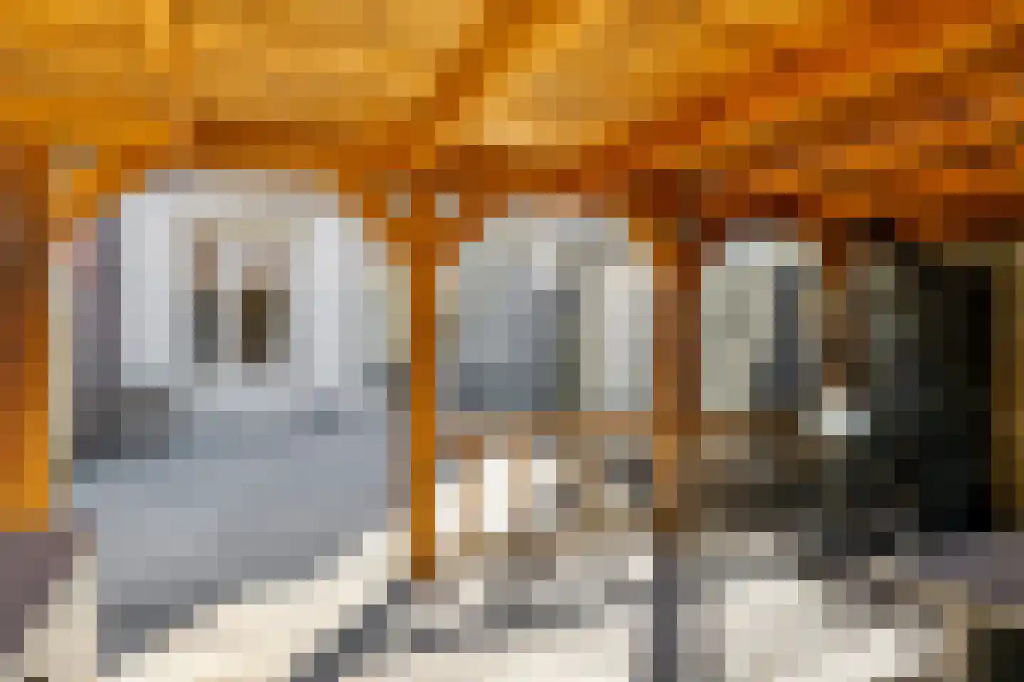 Almstraat 2 's-Hertogenbosch thumbnail 36