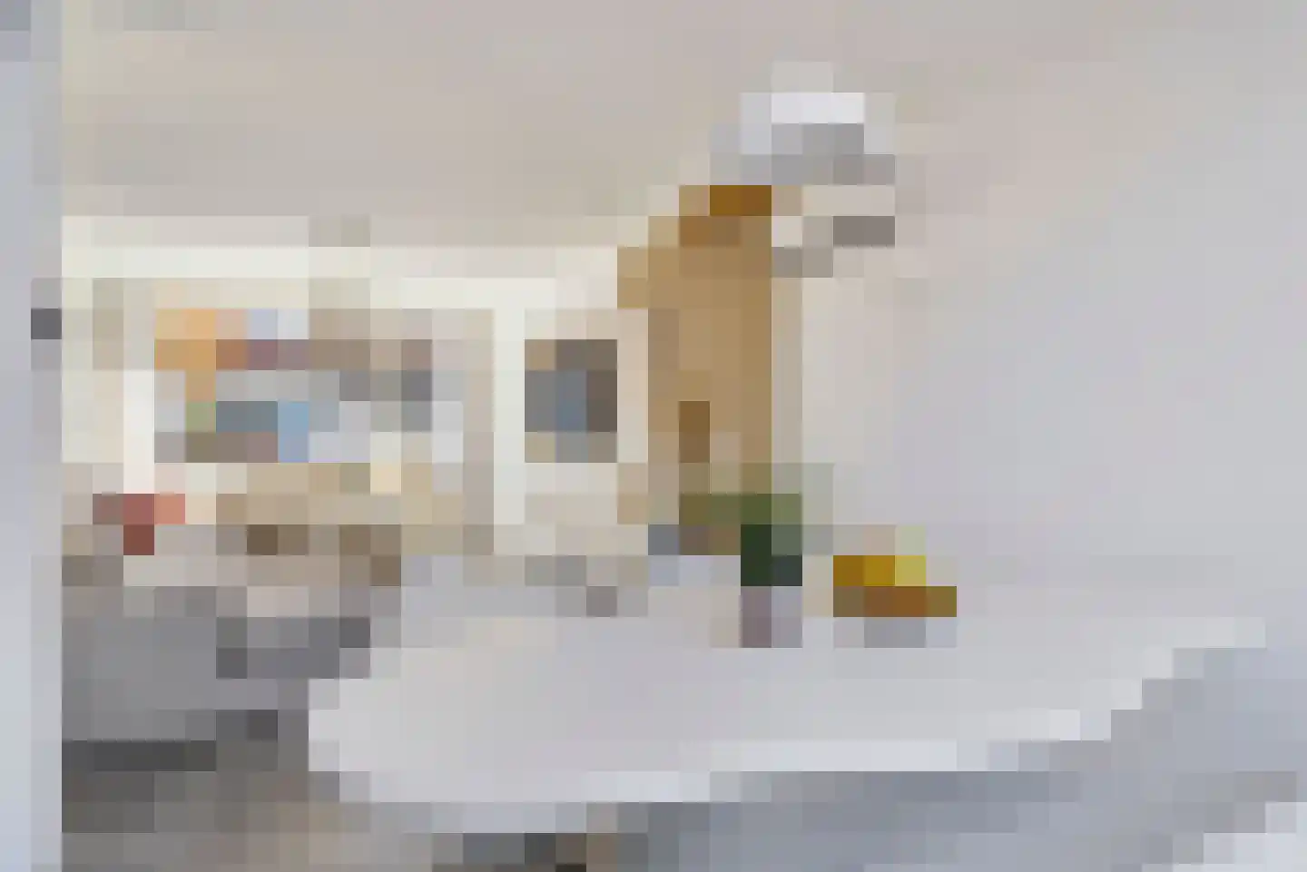Almstraat 2 's-Hertogenbosch thumbnail 6