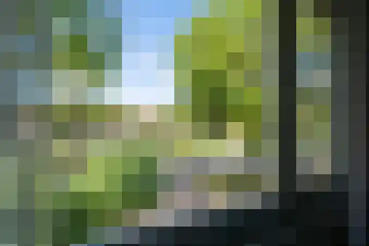 Almweg 5 Rijswijk (NB) thumbnail 21