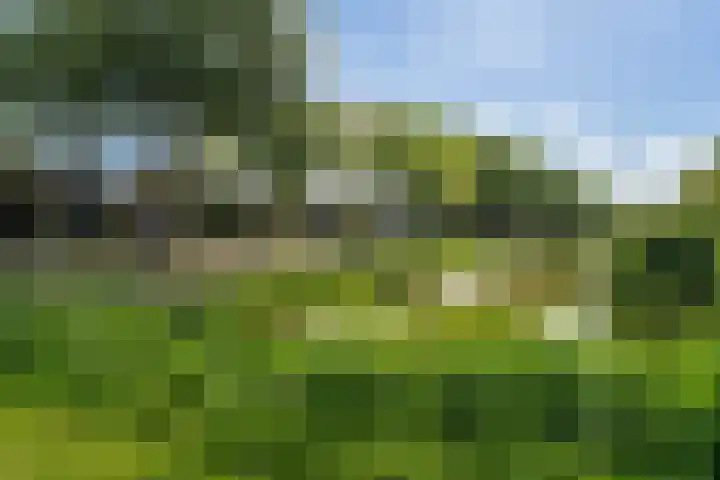 Almweg 5 Rijswijk (NB) thumbnail 41