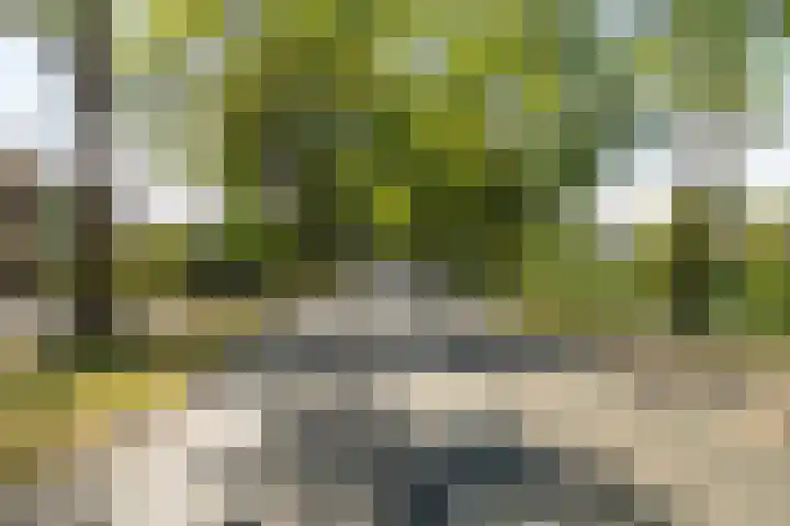 Almweg 5 Rijswijk (NB) thumbnail 43