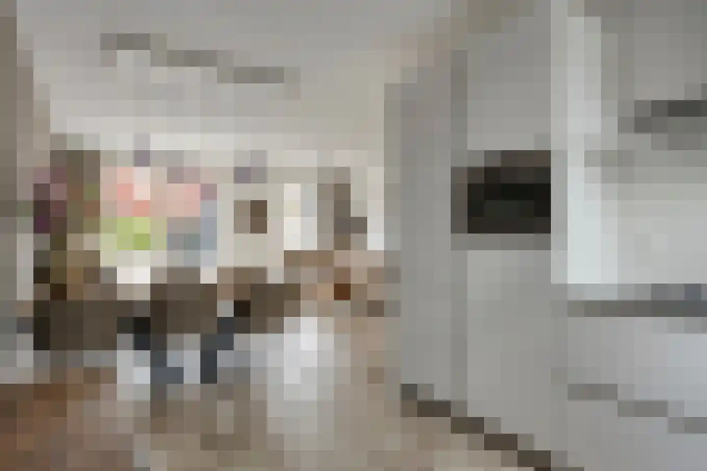 Almystraat 76 Oisterwijk thumbnail 13