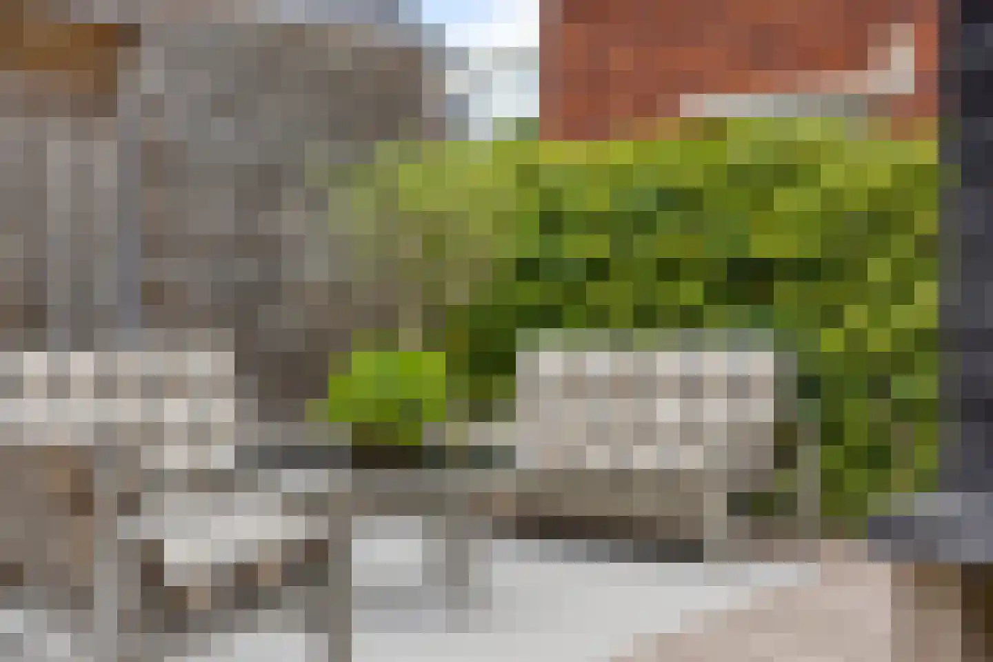 Almystraat 76 Oisterwijk thumbnail 31