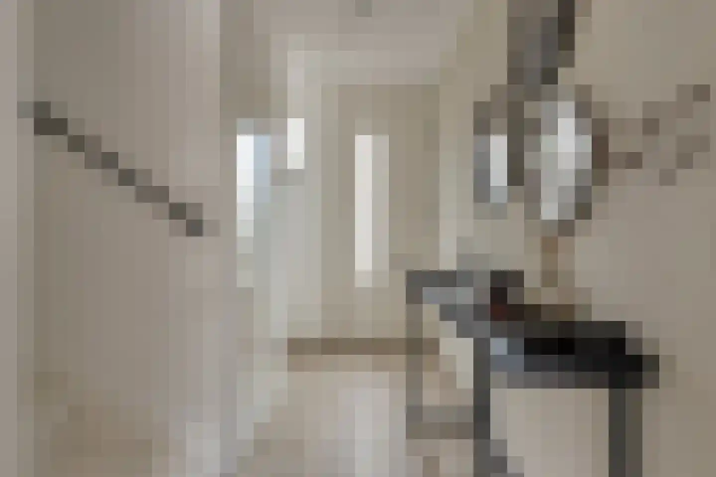 Almystraat 76 Oisterwijk thumbnail 4