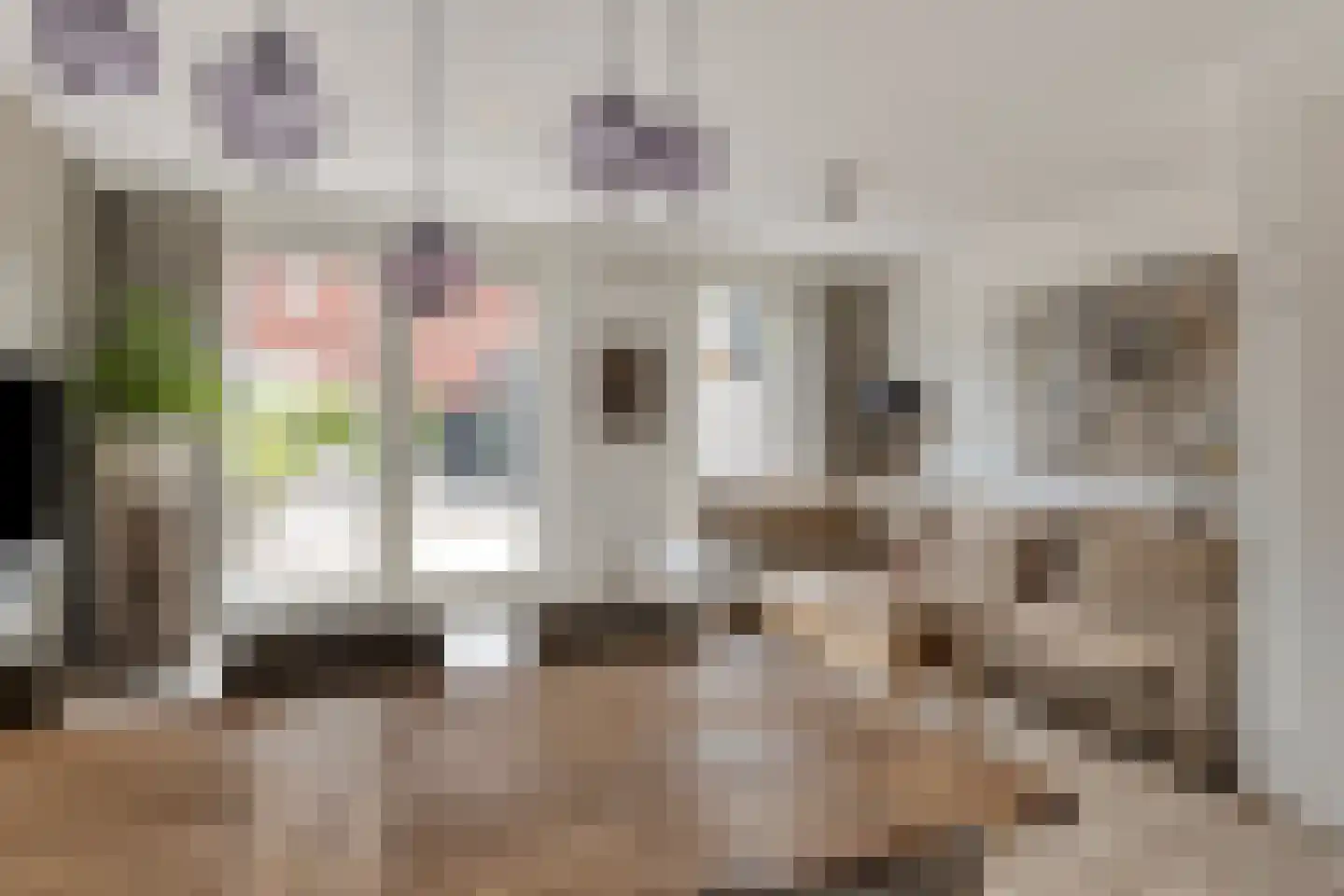 Almystraat 76 Oisterwijk thumbnail 5