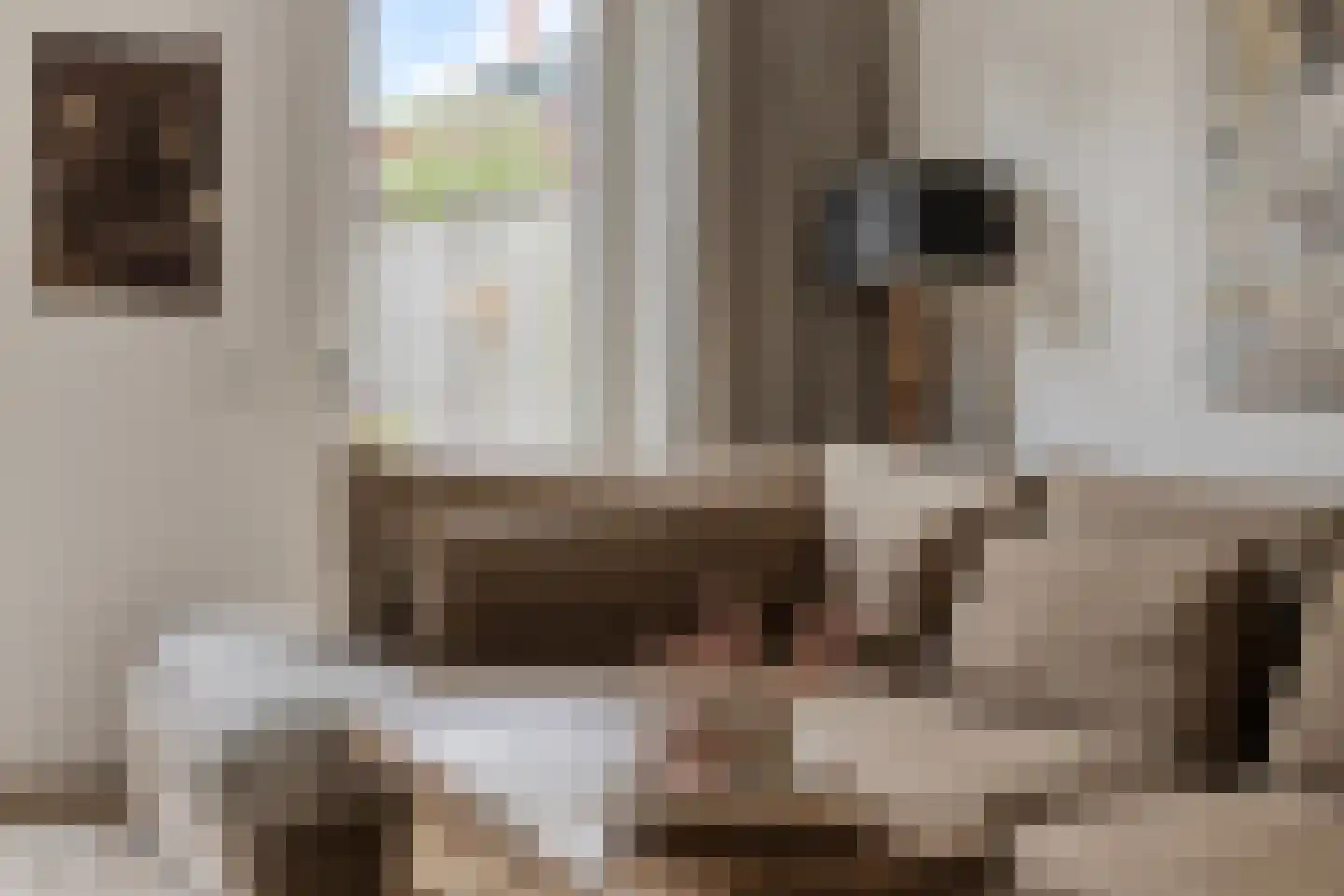 Almystraat 76 Oisterwijk thumbnail 8