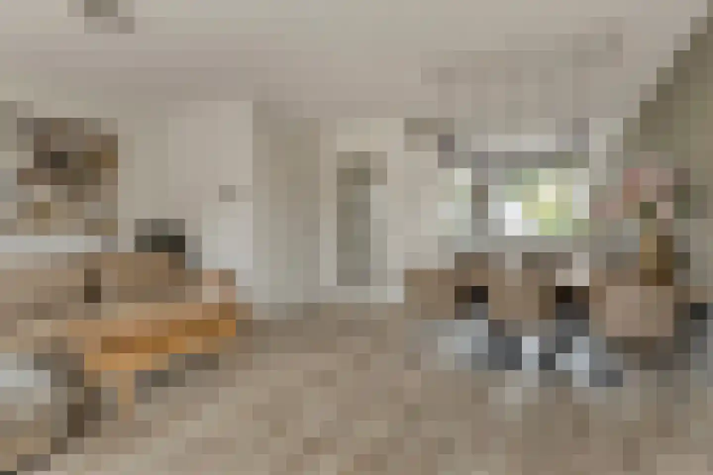 Almystraat 76 Oisterwijk thumbnail 9