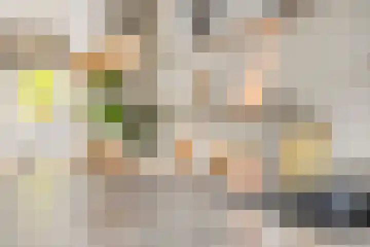 Almystraat 78 Oisterwijk thumbnail 10