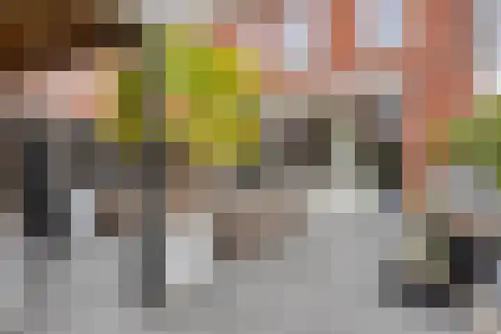 Almystraat 78 Oisterwijk thumbnail 26