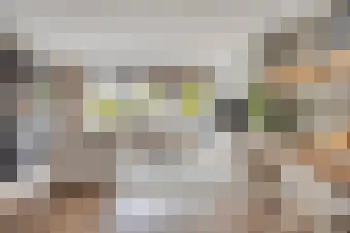 Almystraat 78 Oisterwijk thumbnail 6