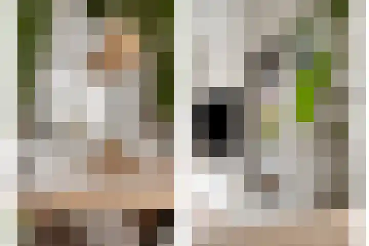 Almystraat 78 Oisterwijk thumbnail 7