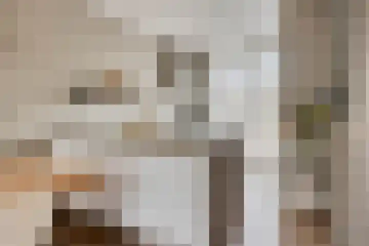 Almystraat 78 Oisterwijk thumbnail 8