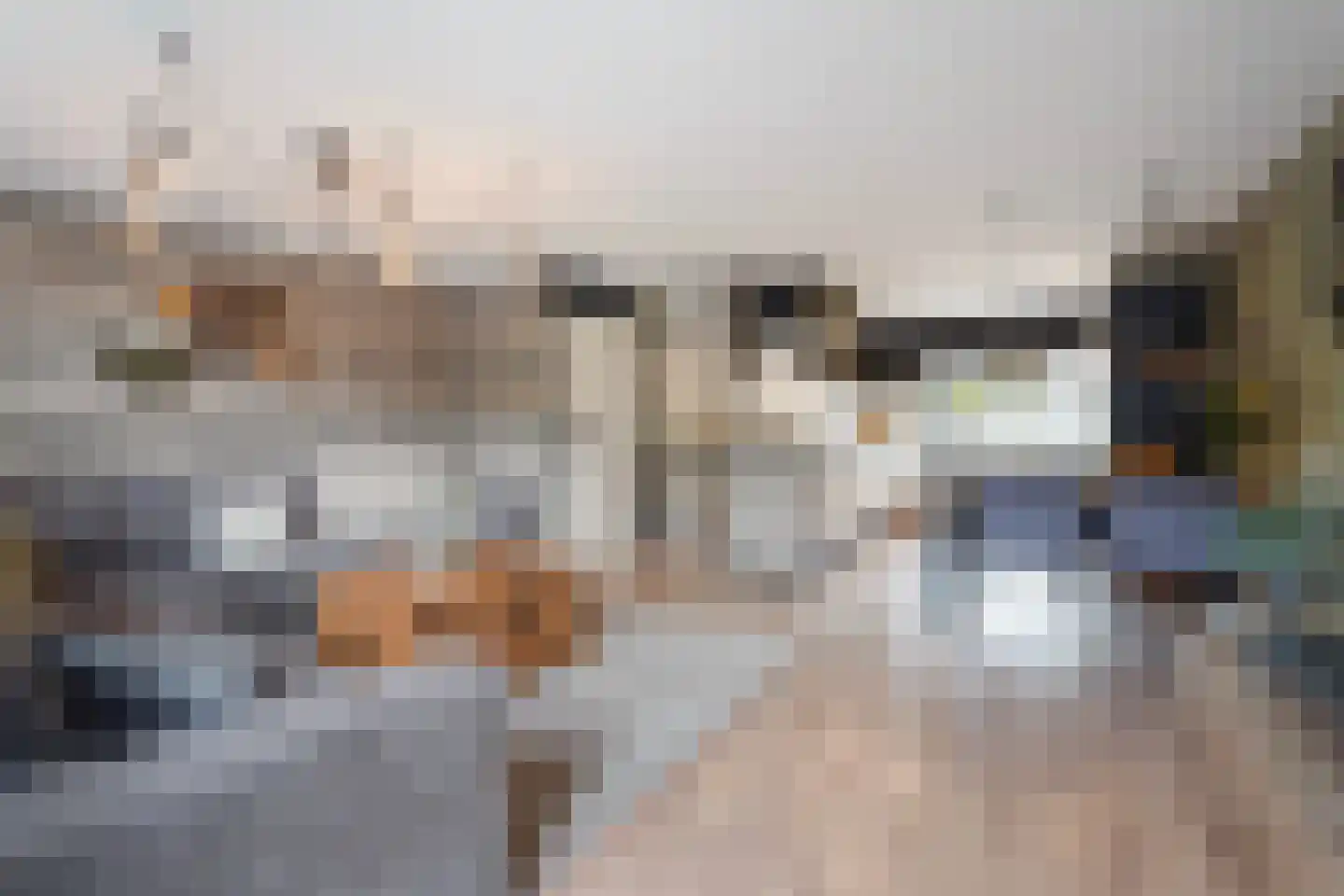 Aloëbruin 17 Zoetermeer thumbnail 10