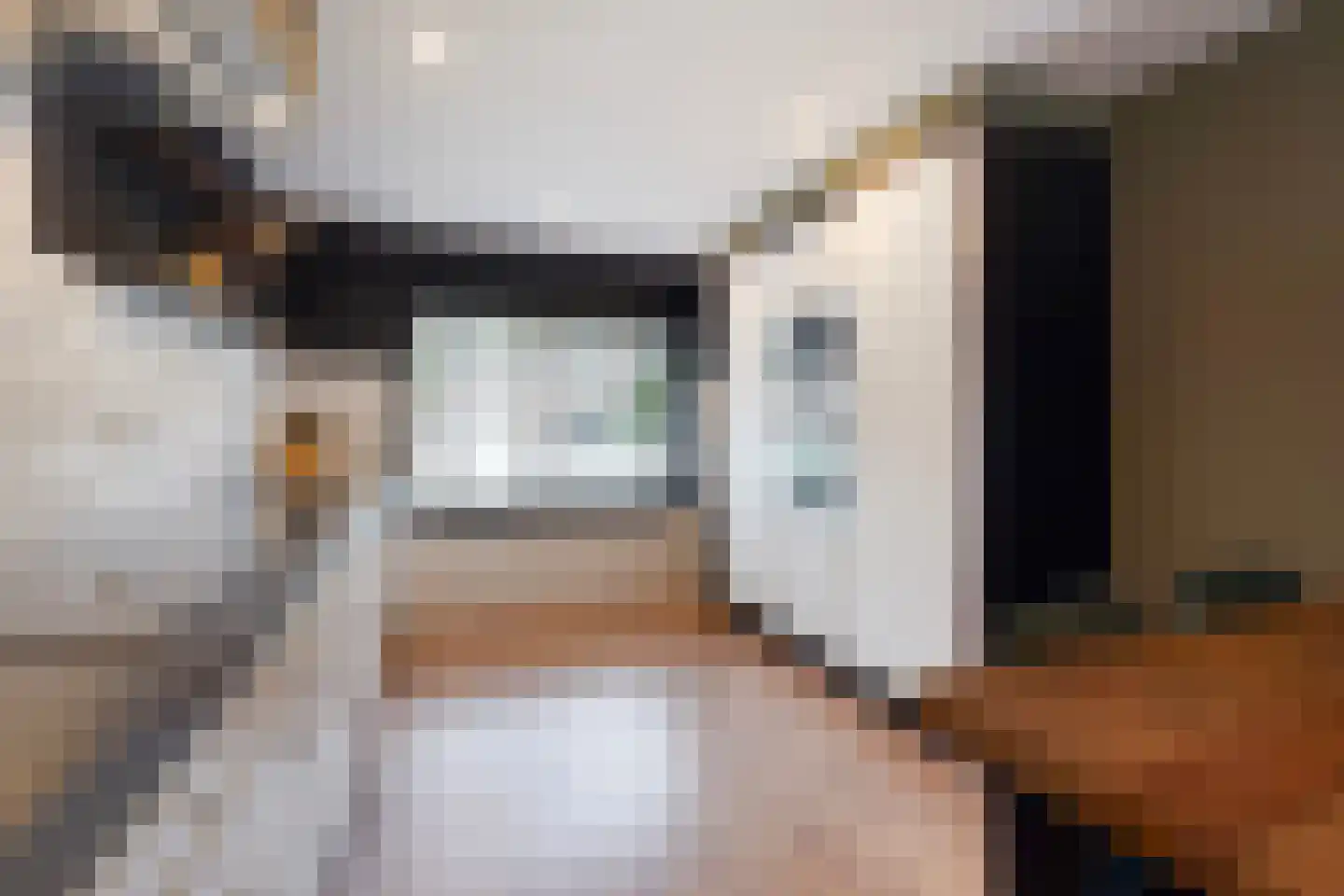 Aloëbruin 17 Zoetermeer thumbnail 14