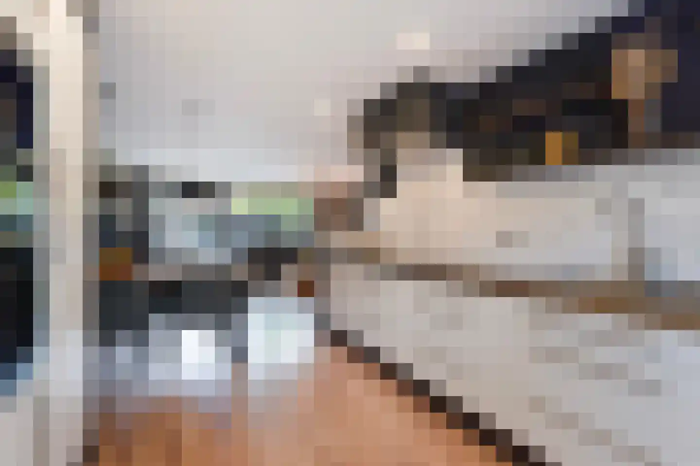 Aloëbruin 17 Zoetermeer thumbnail 15