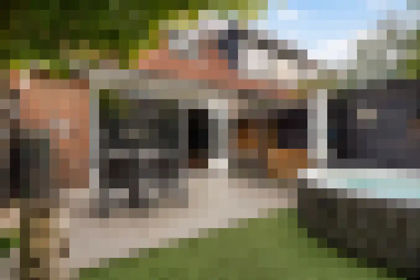 Aloëbruin 17 Zoetermeer thumbnail 17