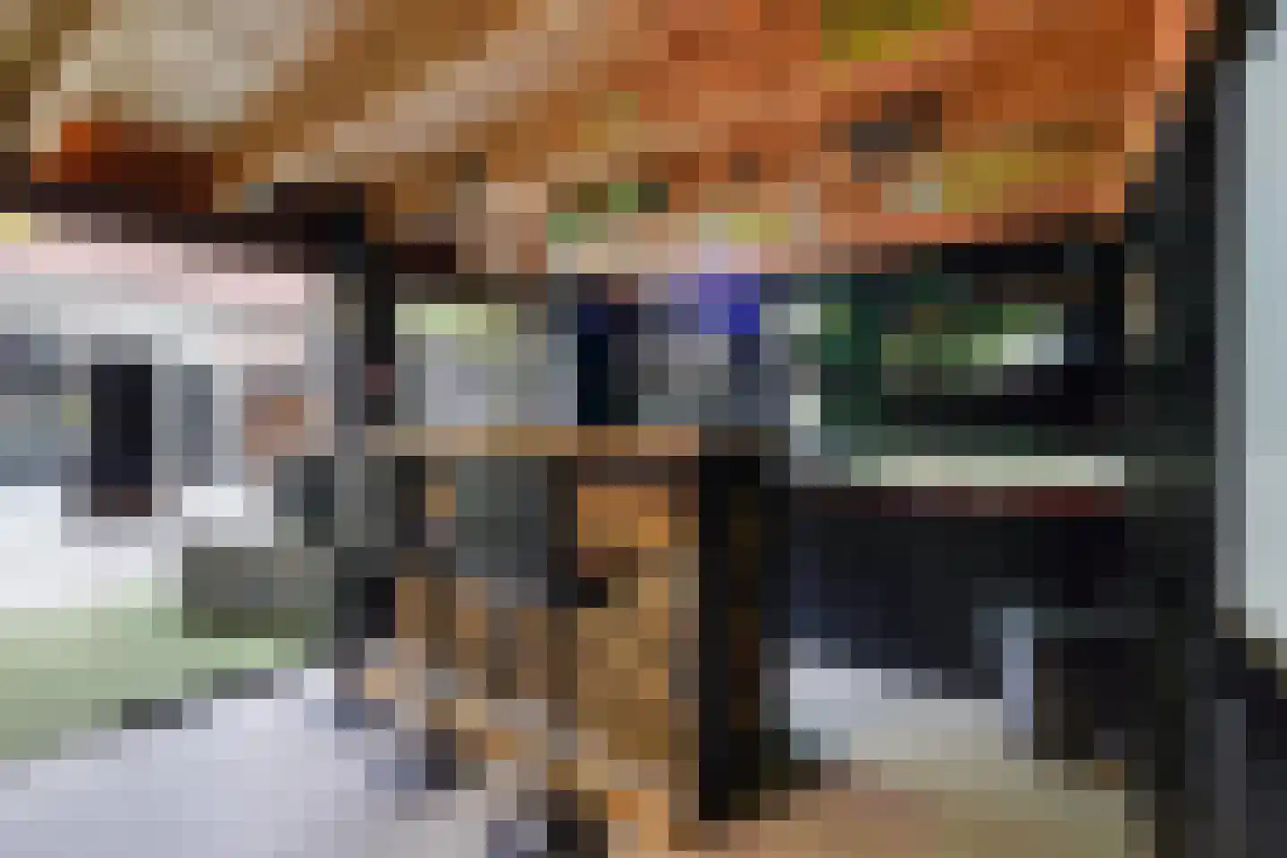 Aloëbruin 17 Zoetermeer thumbnail 21